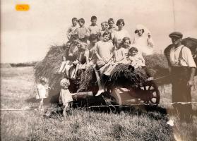 Children helping with farm work during the war years